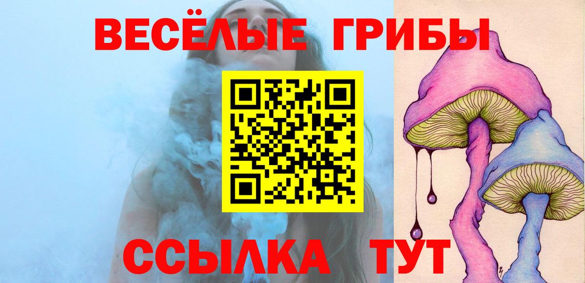 Шелехов  Галлюциногенные грибы GOLDEN TEACHER  Вход с VPN 